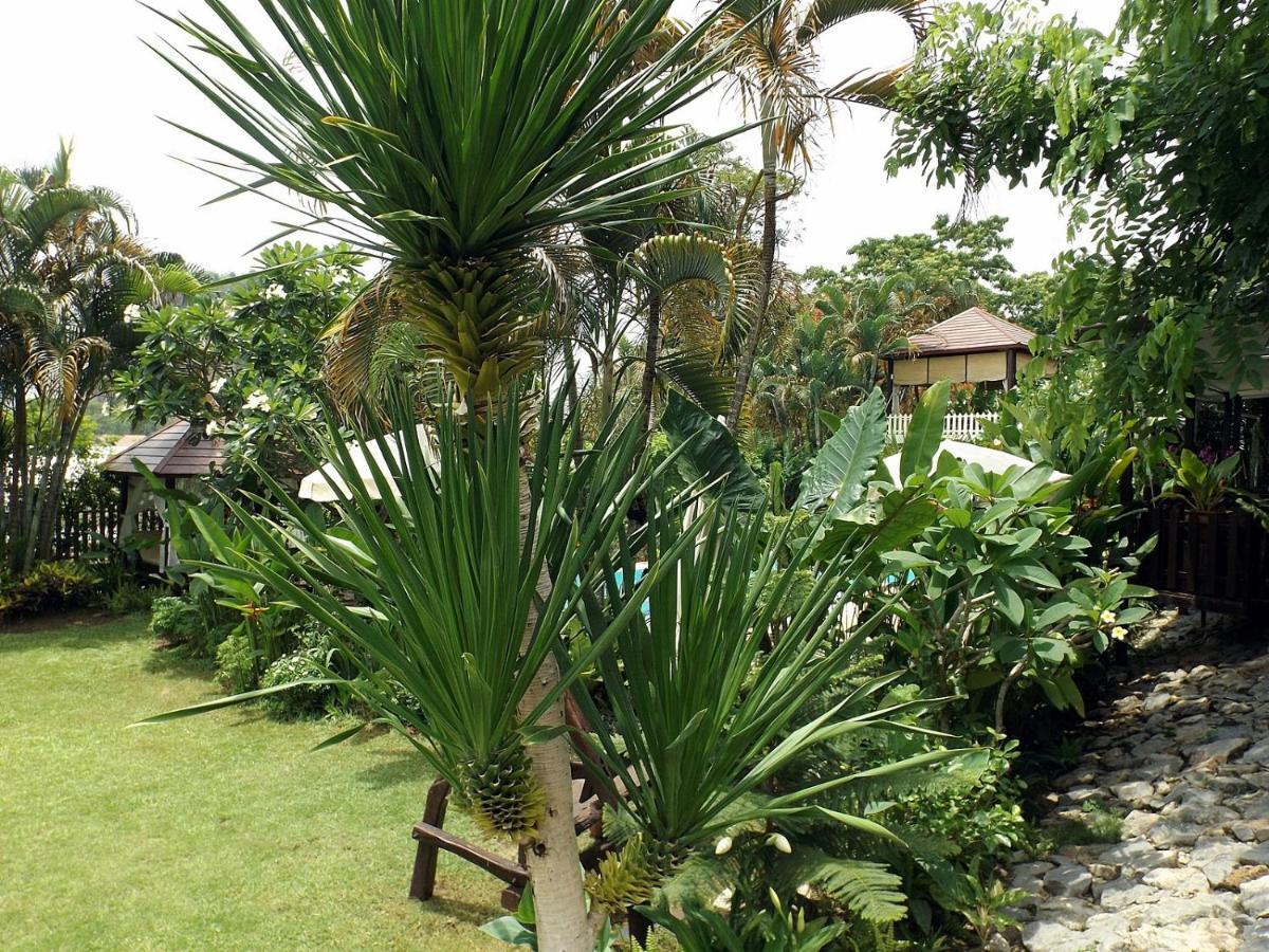 Homestay Chiangrai Chiang Rai Dış mekan fotoğraf